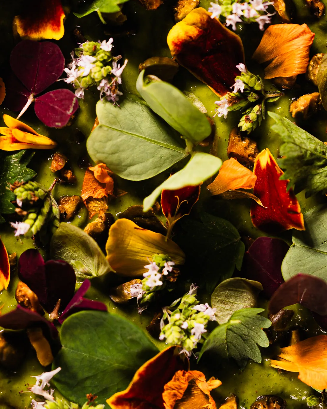 Herbes et fleurs comestibles préparées pour le service